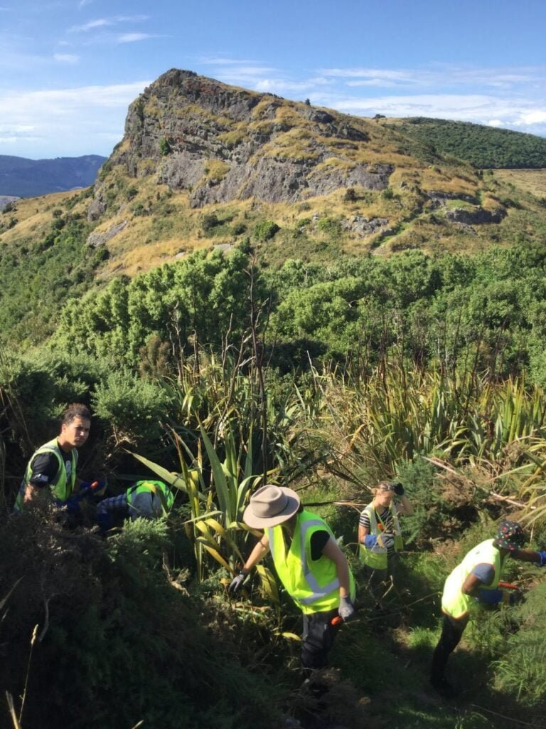 new zealand gap year