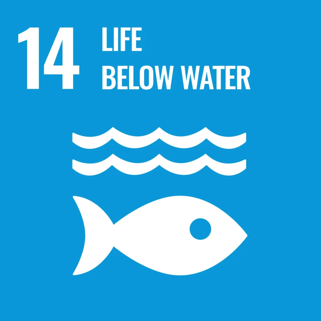 Un goals: 14 life below water