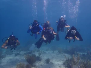 Padi Divemaster training 