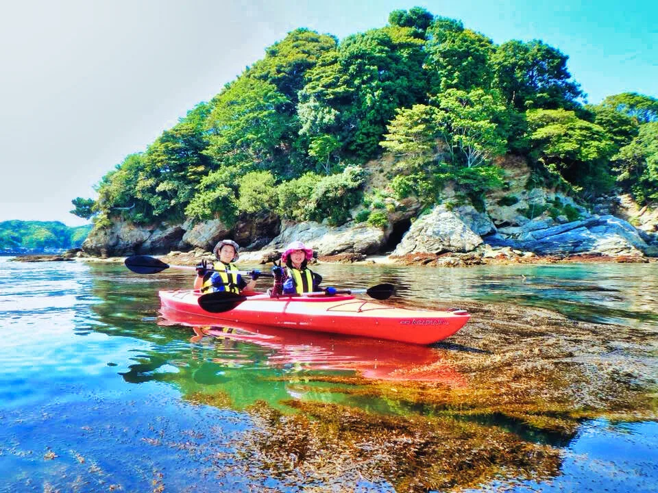 CONSERVATION PROGRAMS