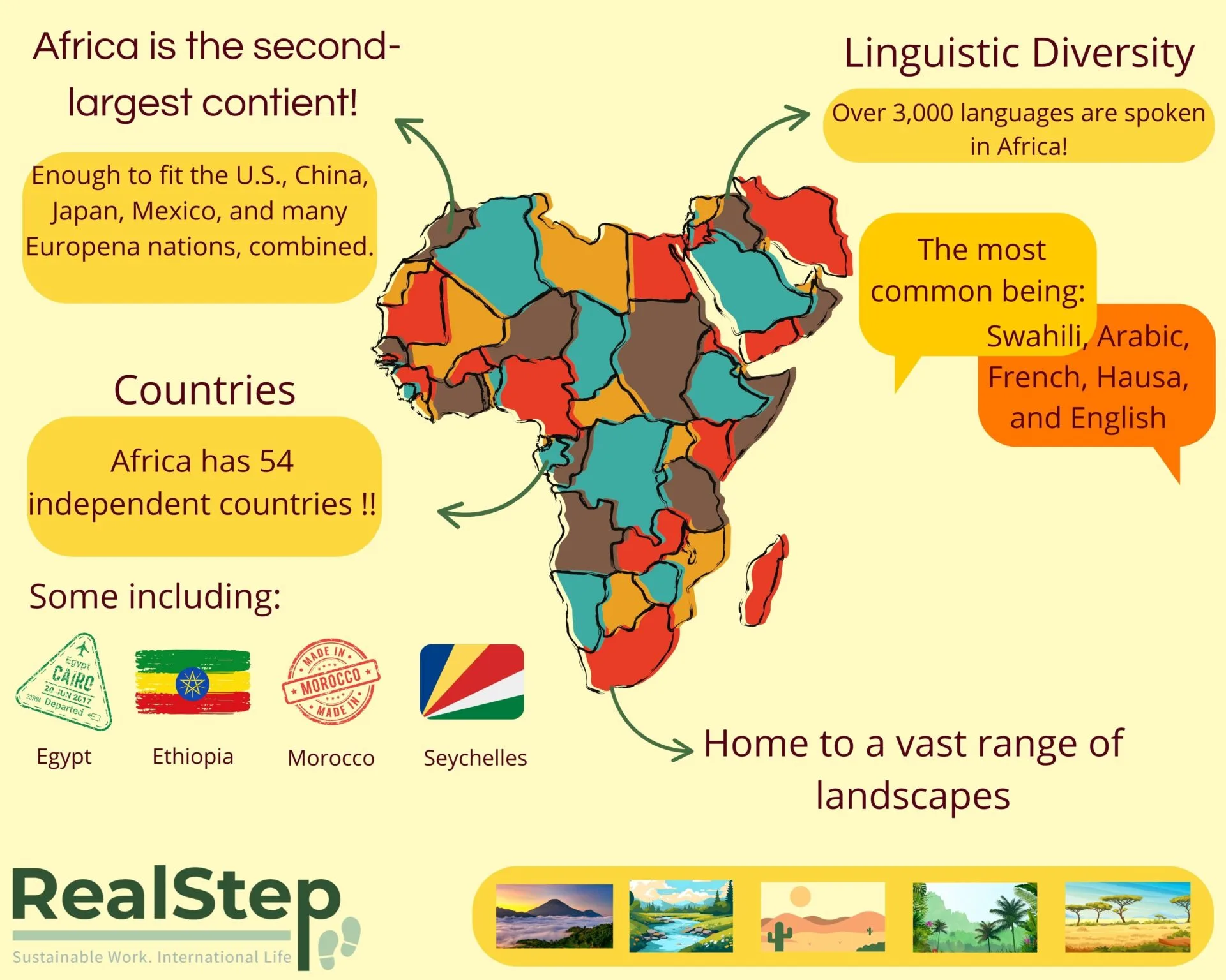 Africa internship