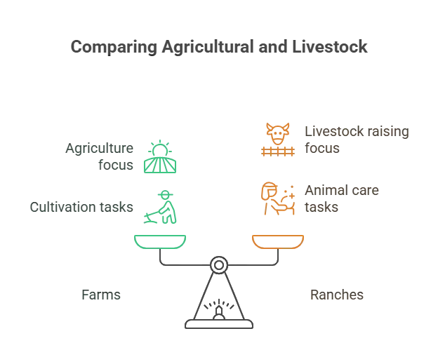 Difference between a ranch and a farm