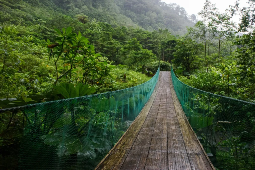 costa rica gap year