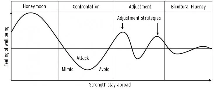 culture shock kalervo