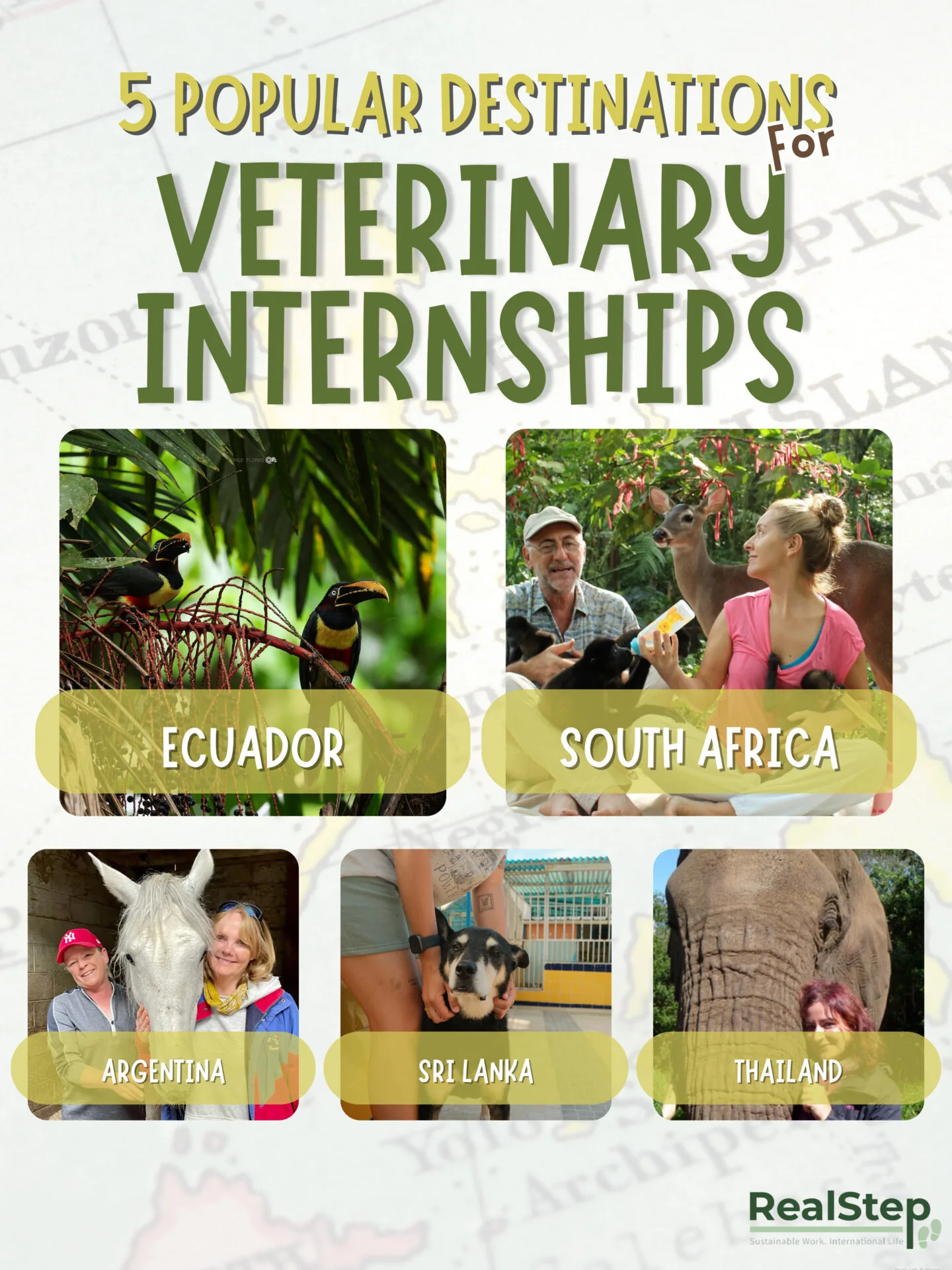 Veterinary Internships