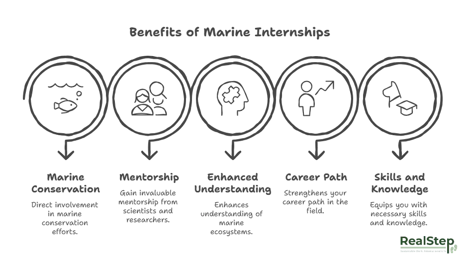 Marine biology internships benefits