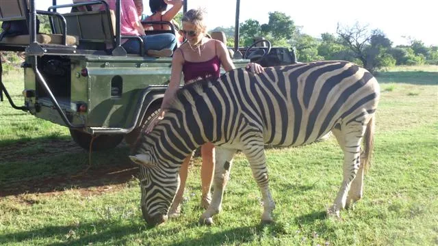 Wildlife Volunteering // wildlife internships