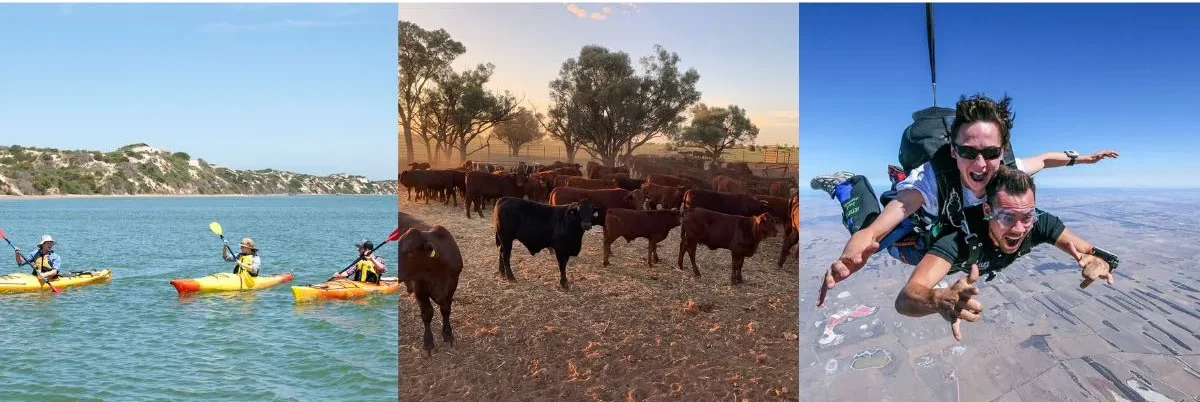 Gap Year in Australia