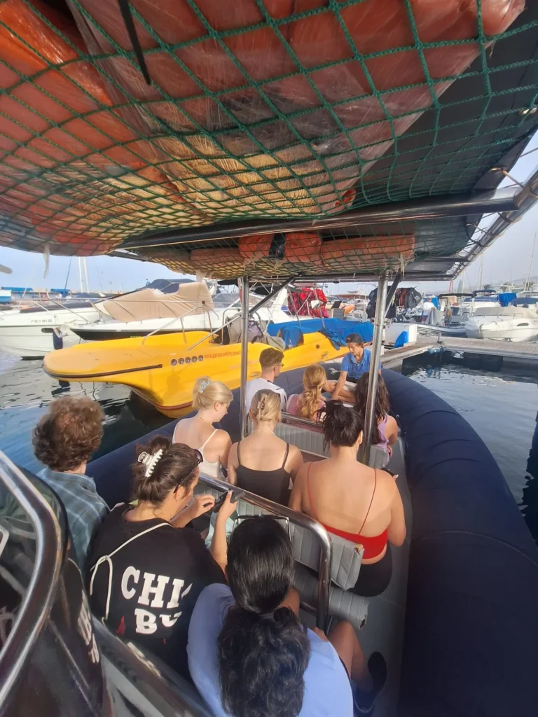 Stage en biologie marine Ténérife avec Realstep