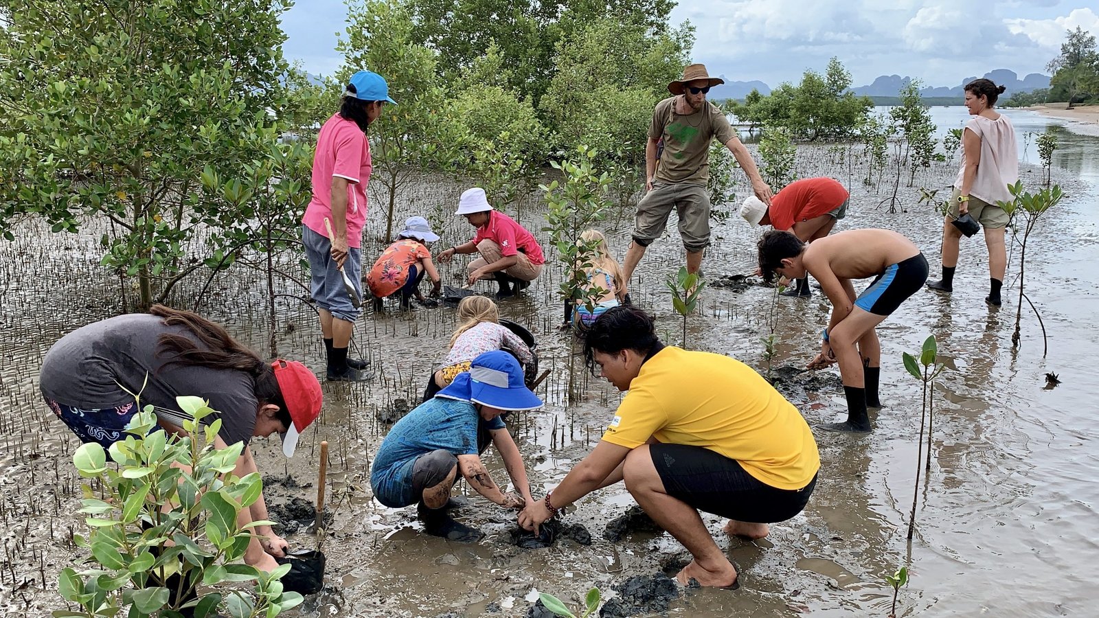 stage fin d'étude ingénieur