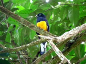 prácticas de biodiversidad y medio ambiente