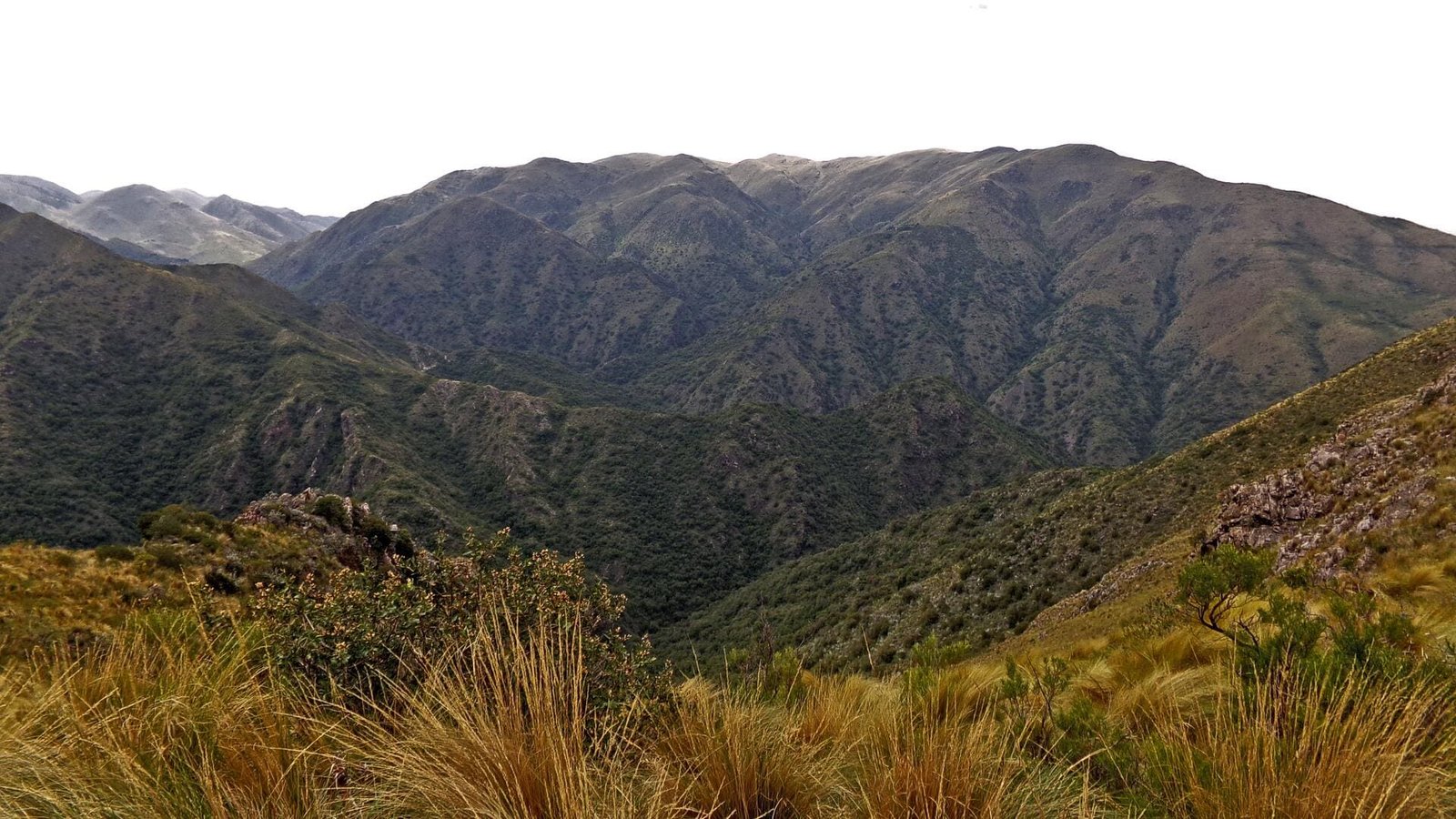 Association stage humanitaire infirmier