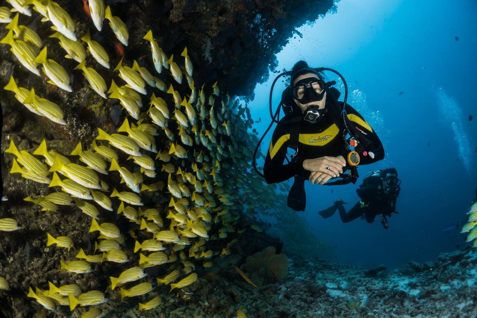 Formación de divemaster PADI