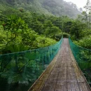 costa rica gap year