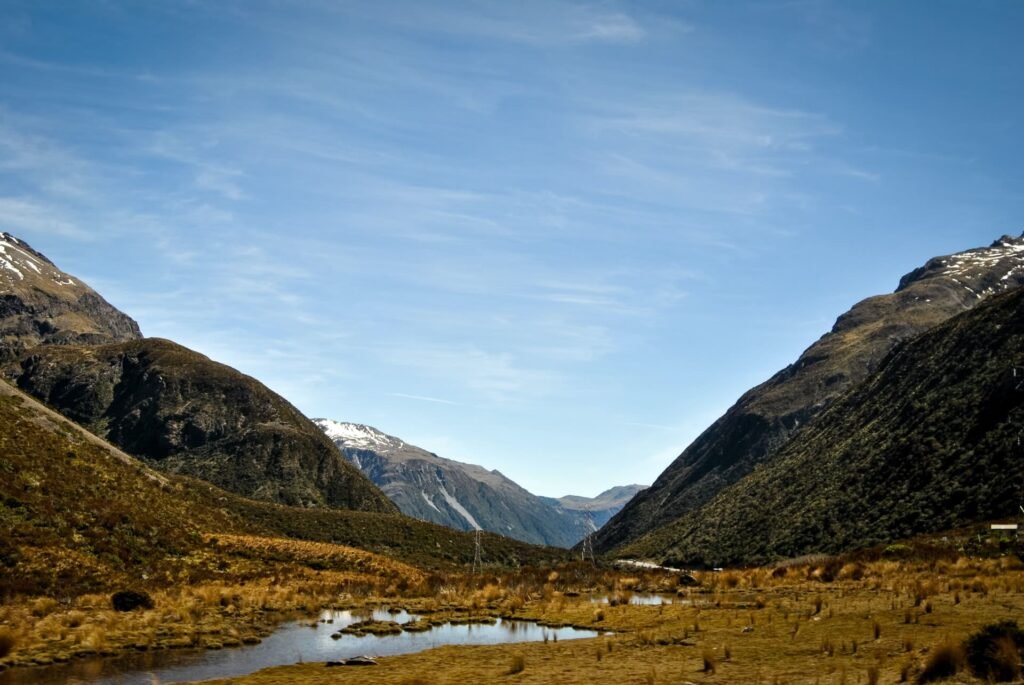 new zealand gap year