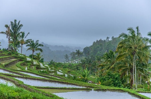 foreign medical internship in an association