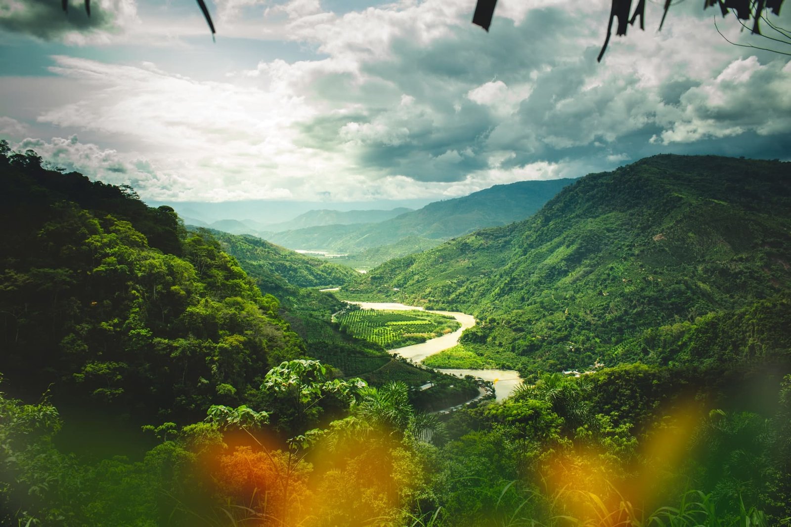 Curso sobre reservas naturales en el extranjero
