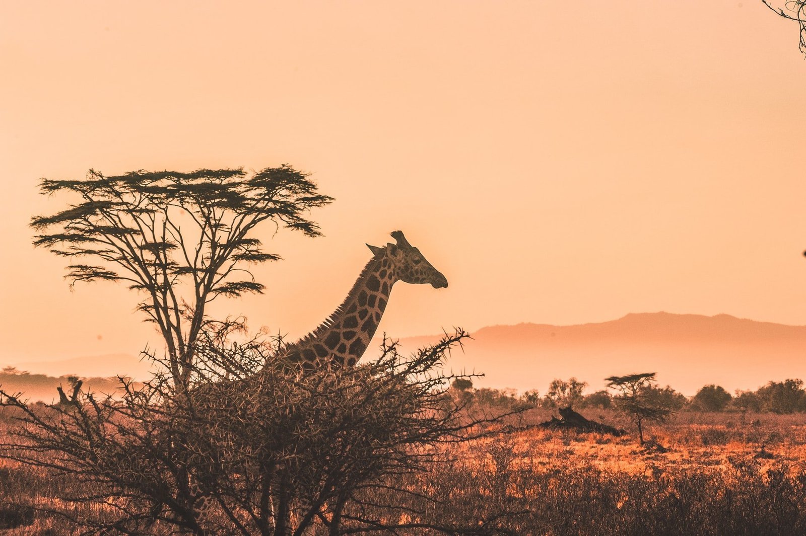 Stage photographie en Afrique du Sud