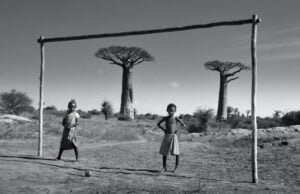 stage ong madagascar