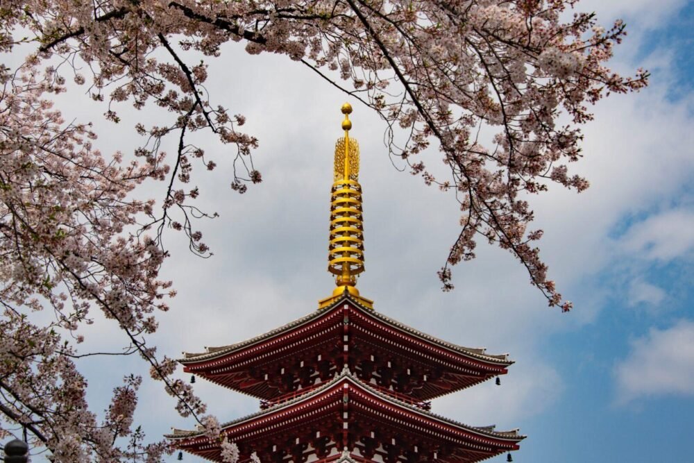 tourism internship japan